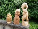 Der schne Polyphem; Steinkauz Wundl; Baumelfe