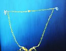 Ein himmlisches Collier und das Rtsel aus dem All